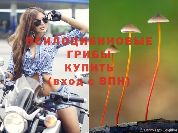 экстази Аркадак