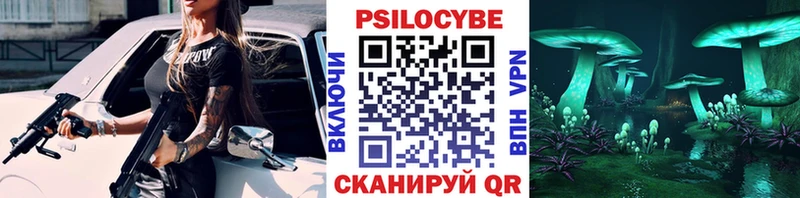 Купить закладки  Серафимович  Псилоцибиновые грибы Cubensis 